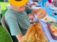 Barbecue des résidents : le chien de l’animatrice vole la vedette Le Château de la Brague Antibes